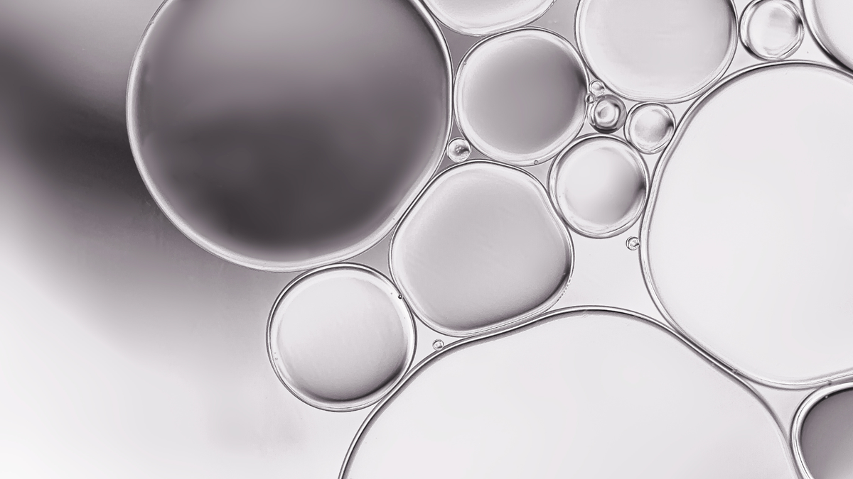 AMP vs Urolithin A: Two Longevity Ingredients Taking Different Paths